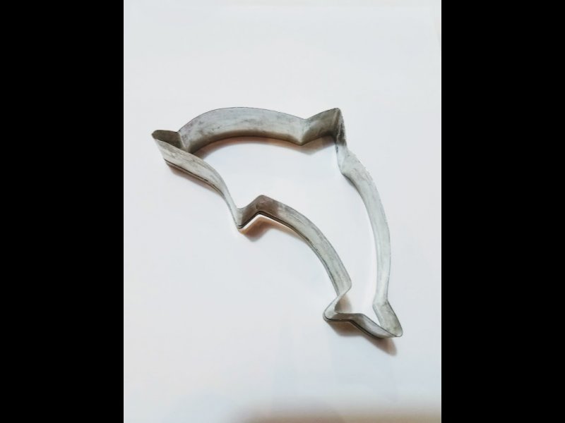 Delfin Grande- Mediano y Chico